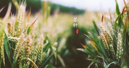 QQ圖片20230831235656.jpg
