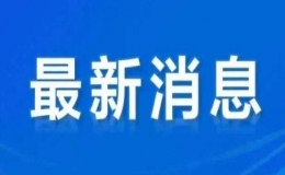 冠病疫情除了讓居家辦公成了新常態(tài)