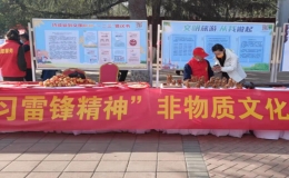學(xué)雷鋒送春風(fēng) 非遺展示助力中原出彩