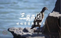 這個(gè)三月，北大青年以志愿行動(dòng)學(xué)習(xí)雷鋒