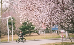 又是三月春風(fēng)起，春意暖暖南開(kāi)園