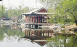 【組圖】蘭葉葳蕤，水木清華，春意知幾許
