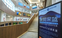 發(fā)現(xiàn)深藍(lán)·第二屆海洋文化攝影大賽獲獎作品展
