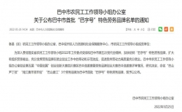 巴中市公布首批“巴字號(hào)”特色勞務(wù)品牌名單