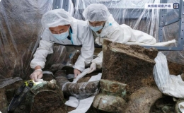 考古人員認定三星堆部分祭祀坑埋藏年代為商代晚期