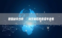 德國(guó)缺兵少將   匈牙利若勝晉級(jí)半決賽