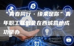 “青春同行?緣來是你”青年職工聯(lián)誼會在西城營地成功舉辦