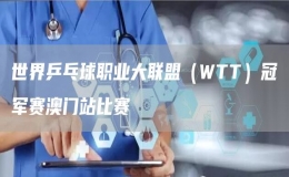 世界乒乓球職業(yè)大聯(lián)盟（WTT）冠軍賽澳門站比賽