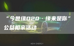 “今世緣D20·緣來(lái)是你”公益相親活動(dòng)