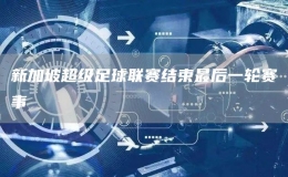 新加坡超級足球聯(lián)賽結(jié)束最后一輪賽事