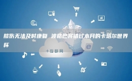 膝傷無法及時康復 波格巴將錯過本月的卡塔爾世界杯