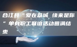 合江縣“愛在荔城 緣來是你”單身職工聯(lián)誼活動圓滿結束