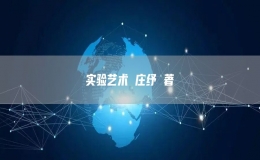 實驗藝術 莊紓 著