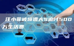 ?汪小菲被爆遭大S追討500萬生活費