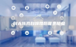?向太陳嵐自爆婚后罹患腦瘤