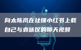 向太陳嵐在社媒小紅書上載自己與袁詠儀的聊天視頻