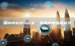 加納將迎戰(zhàn)烏拉圭  韓國(guó)則硬碰葡萄牙