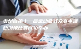 貴州省第十一屆運動會群眾賽事活動滑板比賽成功舉辦