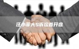 汪小菲大S訴訟首開(kāi)庭