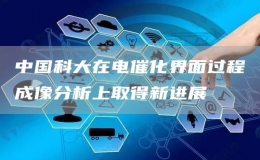 中國(guó)科大在電催化界面過(guò)程成像分析上取得新進(jìn)展