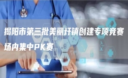 揭陽市第三批美麗圩鎮(zhèn)創(chuàng)建專項(xiàng)競(jìng)賽場(chǎng)內(nèi)集中PK賽