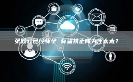 張穎穎已經懷孕 有望扶正成為汪太太？