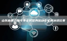山東省第六屆冬季全民健身運動會輪滑冰球比賽