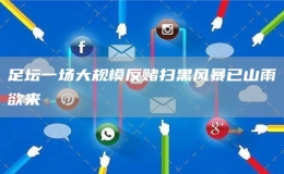 足壇一場大規(guī)模反賭掃黑風(fēng)暴已山雨欲來