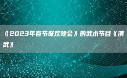 《2023年春節(jié)聯(lián)歡晚會》的武術(shù)節(jié)目《演武》