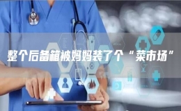 整個(gè)后備箱被媽媽裝了個(gè)“菜市場”