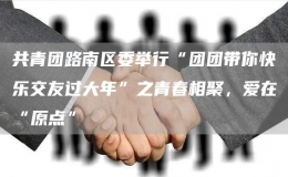 共青團(tuán)路南區(qū)委舉行“團(tuán)團(tuán)帶你快樂交友過大年”之青春相聚，愛在“原點(diǎn)”