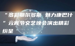 “多彩鄂爾多斯 魅力康巴什”元宵節(jié)文藝晚會演出精彩紛呈