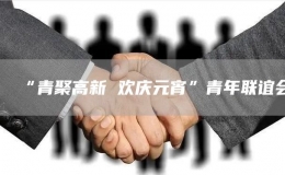 “青聚高新 歡慶元宵”青年聯(lián)誼會