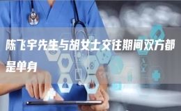 陳飛宇先生與胡女士交往期間雙方都是單身