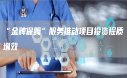“金牌保姆”服務推動項目投資提質增效