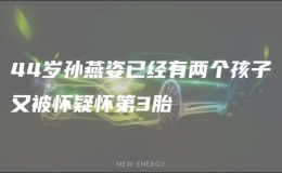 44歲孫燕姿已經(jīng)有兩個孩子又被懷疑懷第3胎