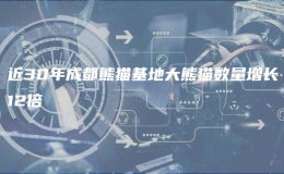  近30年成都熊貓基地大熊貓數(shù)量增長12倍