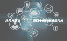 ?旅美大熊貓“丫丫”返回中國(guó)的審批已完成