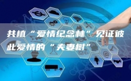 共植“愛情紀念林”見證彼此愛情的“夫妻樹”