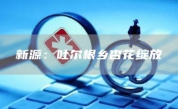 新源：吐爾根鄉(xiāng)杏花綻放