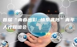 首屆“青春出彩 情系武陟”青年人才聯(lián)誼會