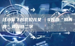 汪小菲飛臺(tái)北見(jiàn)兒女  S媽勸“別再吵”遭冷回二字