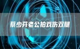蔡少芬老公拍戲傷雙腿