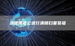 湯唯攜老公進(jìn)行清明掃墓祭祖