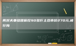 兩對夫妻組團(tuán)偷挖90多斤土豆市價270元,被行拘