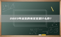 2023年出生的兔寶寶是什么命？