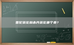 香妃茶花和赤丹茶花哪個貴？