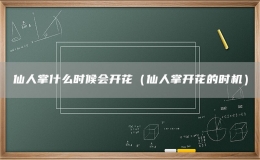 仙人掌什么時候會開花（仙人掌開花的時機）