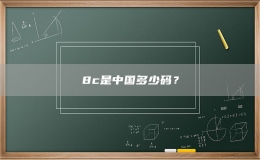 8c是中國多少碼？