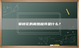 攀枝花的離婚程序是什么？